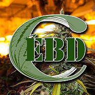 www.ebdcmed.com