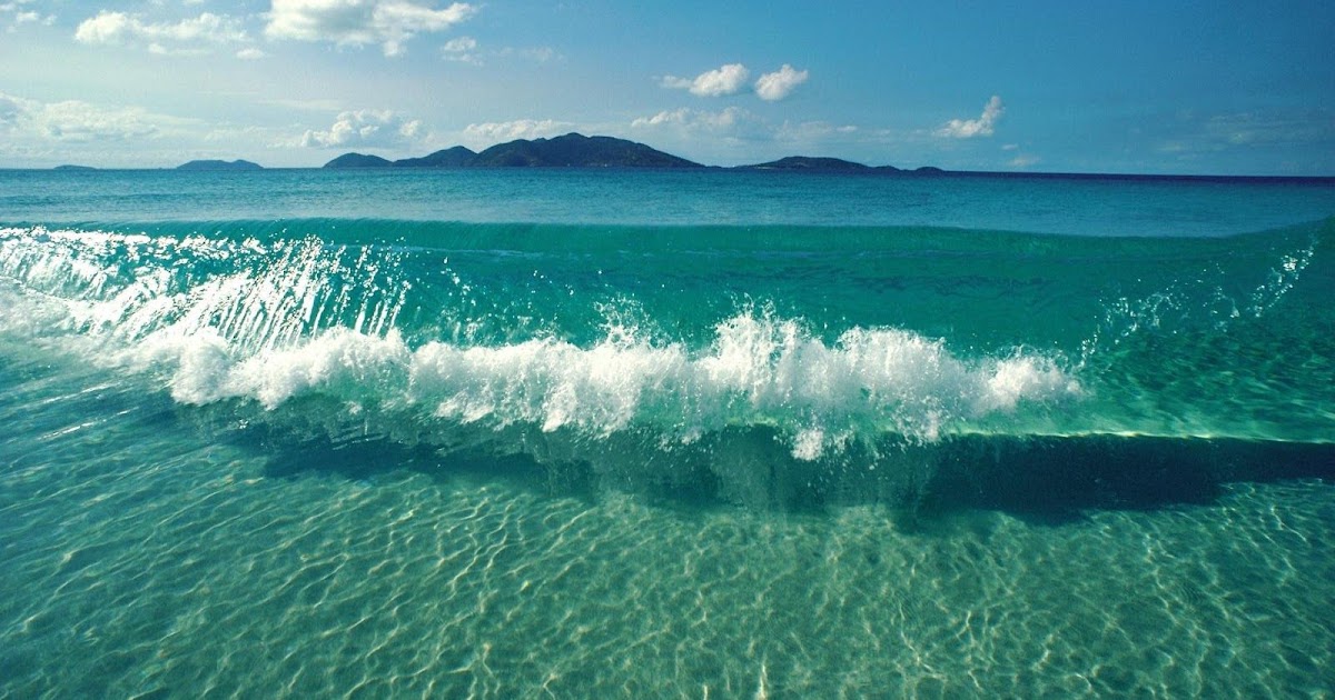 nhathoxuanquynh8.blogspot.com