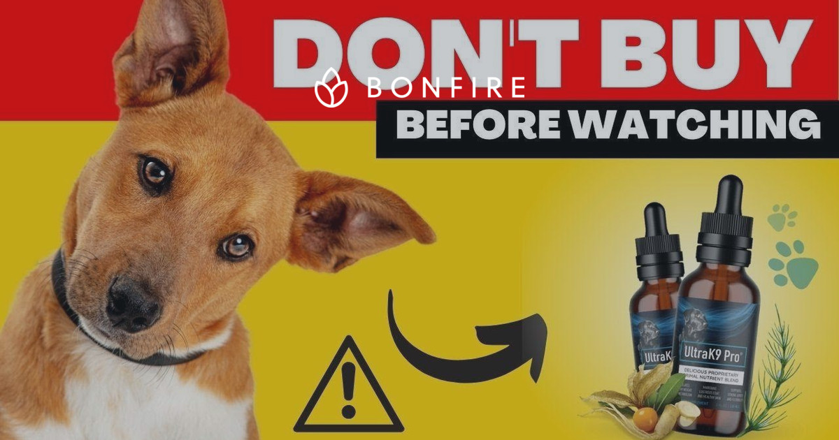 www.bonfire.com