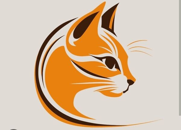 purebreedbengalkittens.company.site