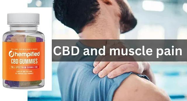 Hempified CBD Gummies: Ingredients, Benefits, Uses, Work & Price? - Eventi 2023 - Moto Club Africa Twin Italia Hempified CBD Gummies: Ingredients, Benefits, Uses, Work & Price? - Eventi 2023 - Moto Club Africa Twin Italia